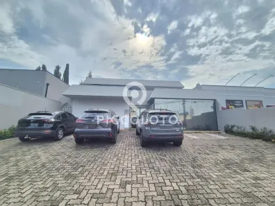 com 9 Quartos para alugar, 455m² no Nova Campinas, Campinas