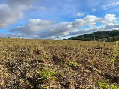 Lote/Terreno à venda, 500m² no Santana, Cotia