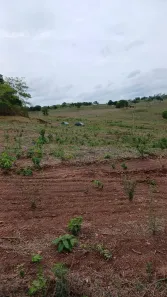 Fazenda/Sítio à venda, 2200m² no , Professor Jamil