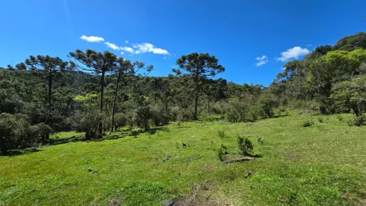 Fazenda/Sítio à venda, 24000m² no , Urupema