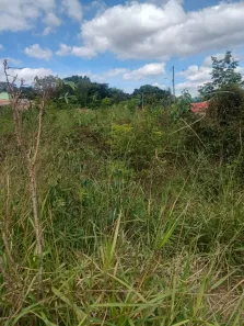 Lote/Terreno à venda, 1000m² no , Esmeraldas