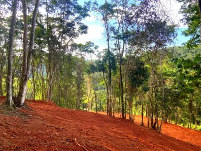 Lote/Terreno à venda, 4500m² no Inconfidência, Paraíba do Sul