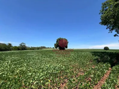 Fazenda/Sítio à venda, 40333m² no Distrito de Iguatemi (Iguatemi), Maringá