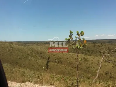 Fazenda/Sítio à venda, 500m² no , Campo Alegre de Goiás