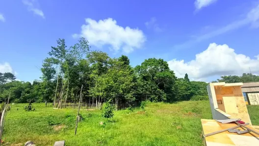 Fazenda/Sítio com 6 Quartos à venda, 100000m² no , Barcarena