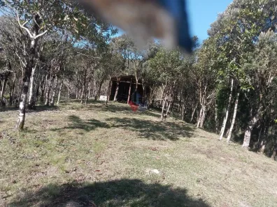 Fazenda/Sítio com 2 Quartos à venda, 36000m² no Borda do Campo, São José dos Pinhais