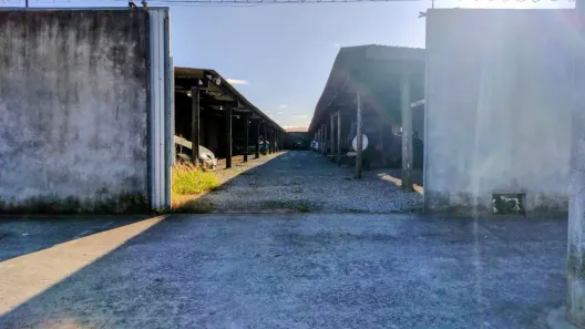 Lote/Terreno à venda, 693m² no Fragata, Pelotas