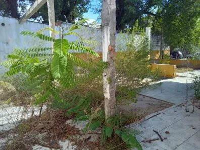 Lote/Terreno para alugar, 50m² no Cavalhada, Porto Alegre
