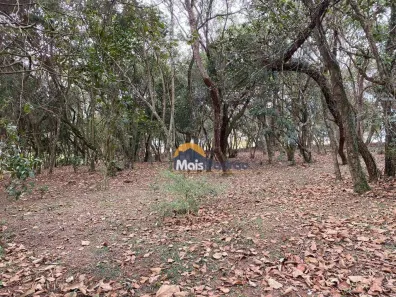 Lote/Terreno à venda, 1575m² no Vila de São Fernando, Cotia