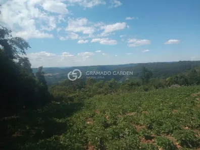 Fazenda/Sítio com 1 Quarto à venda, 5000m² no Bairro Boa Vista do Herval, Santa Maria do Herval