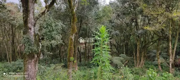 Lote/Terreno à venda, 612m² no Leodoro de Azevedo, Canela