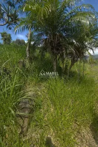 Lote/Terreno à venda, 700m² no Areias de Macacu, Garopaba