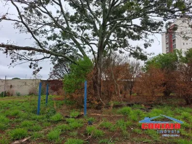 Lote/Terreno à venda, 3564m² no Jardim Hikari, São Carlos