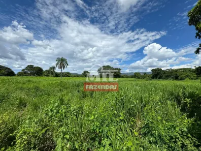 Fazenda/Sítio à venda, 1m² no Centro, Teresina