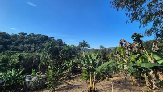 Fazenda/Sítio com 1 Quarto à venda, 35m² no Gaivota (Interior), Itanhaém