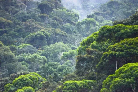 Fazenda/Sítio à venda, 360000000m² no Santa Luzia, Itacoatiara