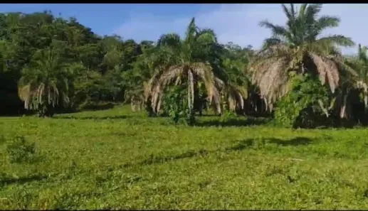 Lote/Terreno à venda, 3m² no Centro, Iporá
