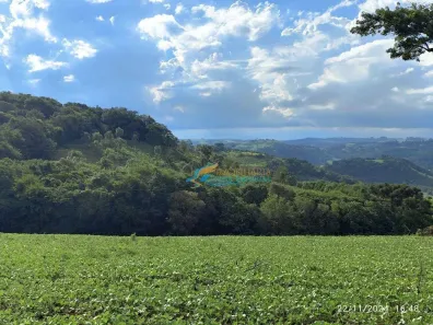 Fazenda/Sítio à venda, 146400m² no , Catanduvas