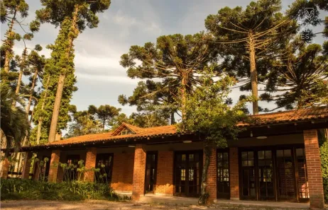 Fazenda/Sítio com 7 Quartos à venda, 1200m² no Centro, São José dos Pinhais
