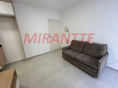 Apartamento com 1 Quarto para venda ou aluguel, 29m² no Jardim São Paulo(Zona Norte), São Paulo