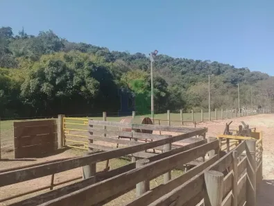 Fazenda/Sítio com 3 Quartos à venda, 20000m² no São Silvestre (São Silvestre), Jacareí