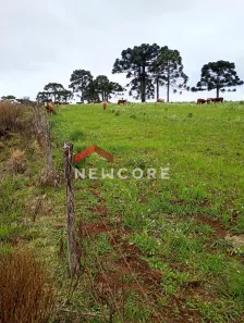 Fazenda/Sítio com 2 Quartos à venda, 2400000m² no Centro, São Francisco de Paula