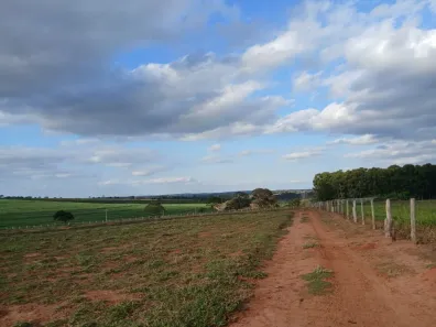 Fazenda/Sítio com 1 Quarto à venda, 605000m² no , Iacanga