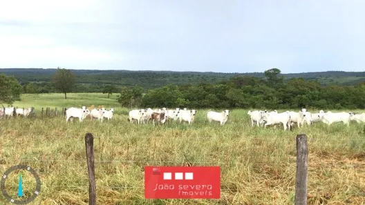 Fazenda/Sítio com 3 Quartos à venda, 40438200m² no , Bonito