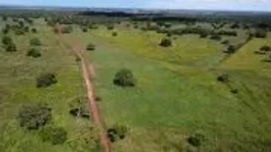 Fazenda/Sítio à venda, 1226m² no , Jangada