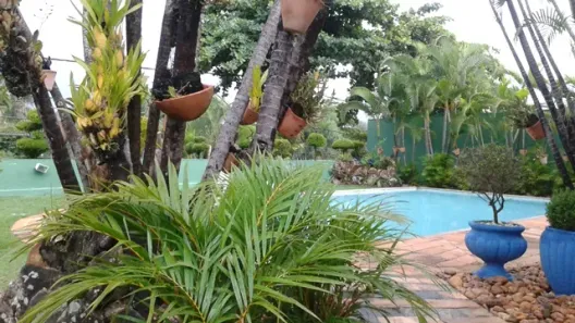 Casa com 4 Quartos à venda, 309m² no Bandeirantes (Pampulha), Belo Horizonte