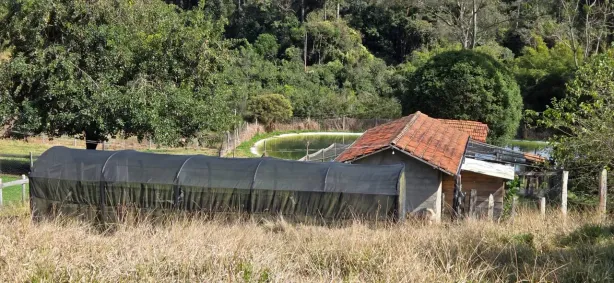Fazenda/Sítio com 2 Quartos à venda, 1000m² no Área Rural De Andradas, Andradas
