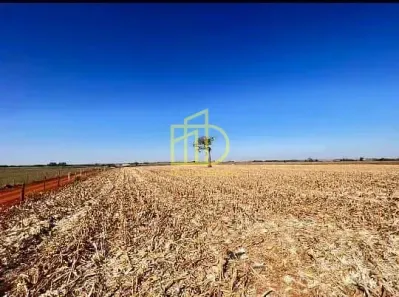 Lote/Terreno à venda, 242000m² no Guarapó, Quadra