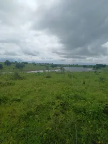 Fazenda/Sítio à venda, 1500000m² no Itabaiana, Itabaiana