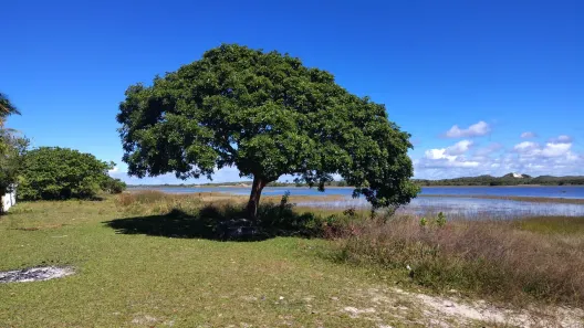Lote/Terreno à venda, 450m² no , Estância