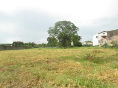Lote/Terreno para alugar, 5000m² no Nossa Senhora de Fátima, Piracicaba