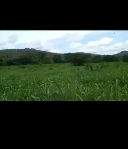 Fazenda/Sítio à venda no Serra Verde (Venda Nova), Belo Horizonte