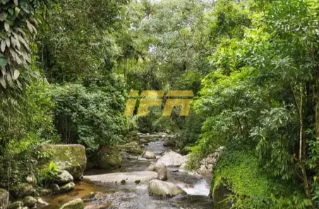 Casa com 7 Quartos à venda, 700m² no Corcovado, Ubatuba
