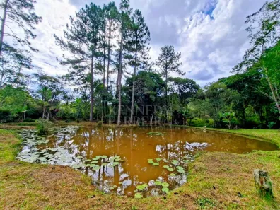 Fazenda/Sítio com 3 Quartos à venda, 5670m² no Centro, Juquitiba