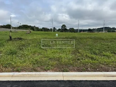 Lote/Terreno à venda, 250m² no Centro, Piraquara