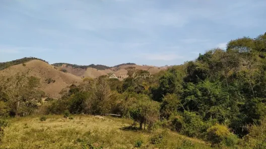 Fazenda/Sítio à venda, 20000m² no , Santo Antônio do Pinhal