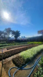 Lote/Terreno à venda, 3846m² no Jardim Planalto, Jundiaí