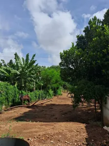 Fazenda/Sítio com 2 Quartos para alugar, 340m² no Vila Irany, Goiânia