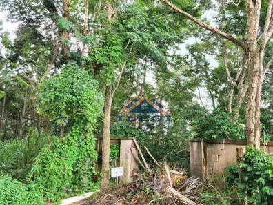 Lote/Terreno à venda, 1546m² no Buracão, Vinhedo