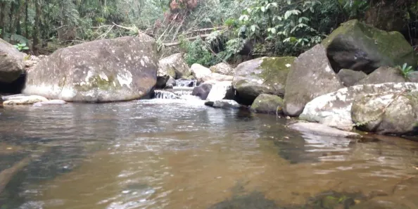 Fazenda/Sítio com 2 Quartos à venda, 35000m² no , Morretes