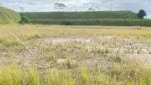 Galpão/Depósito/Armazém para alugar, 5000m² no Cabiúnas, Macaé