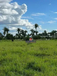 Fazenda/Sítio com 1 Quarto à venda, 14400000m² no Arari, Arari