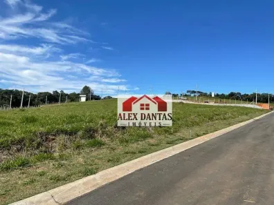 Lote/Terreno à venda, 1000m² no , Tuiuti
