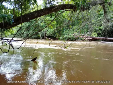 com 1 Quarto à venda, 2m² no , Chapada dos Guimarães