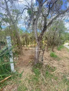 Lote/Terreno à venda, 1681m² no Ratones, Florianópolis