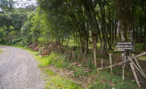 Lote/Terreno à venda, 788m² no Serrano, Caxias do Sul